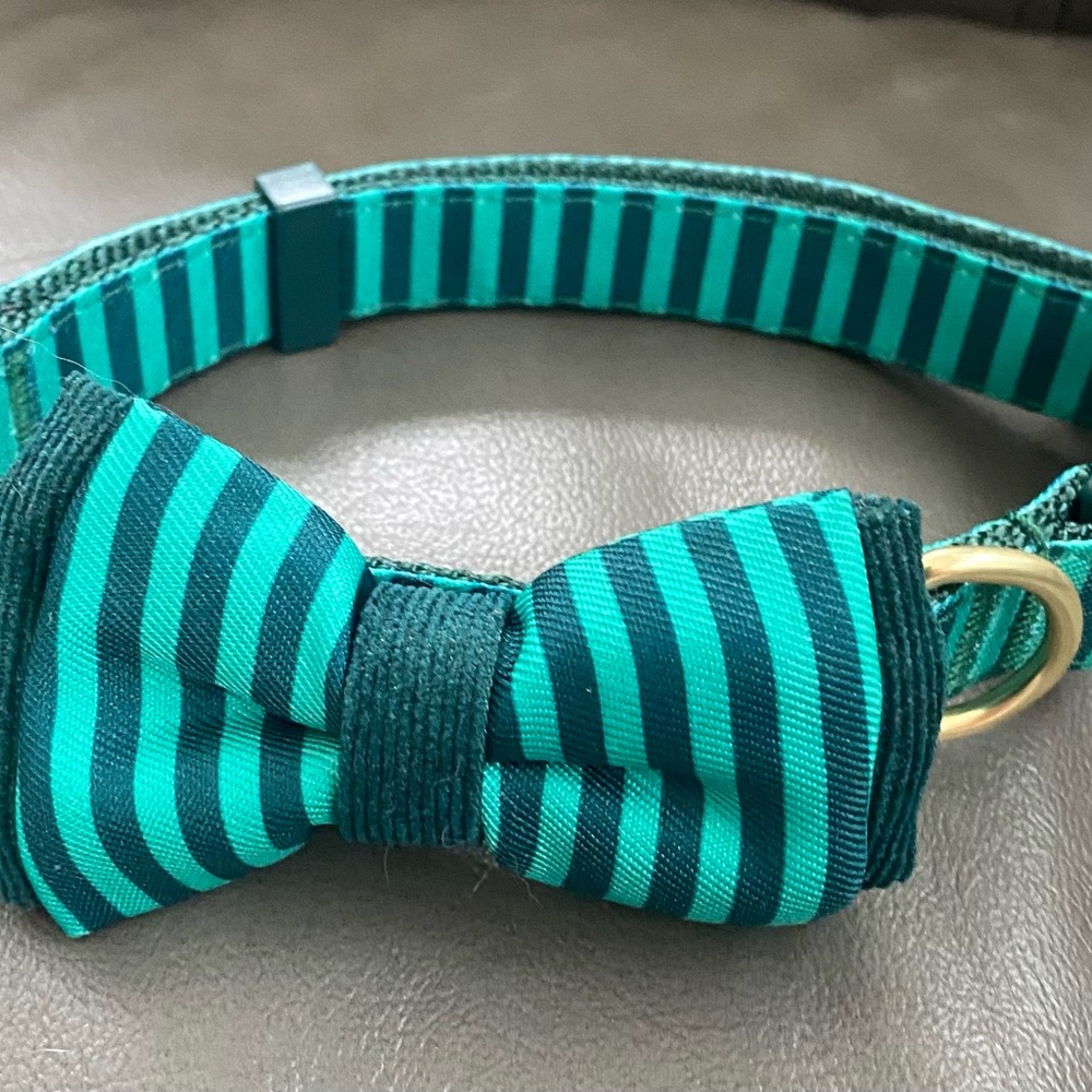 Dog Collar Medium